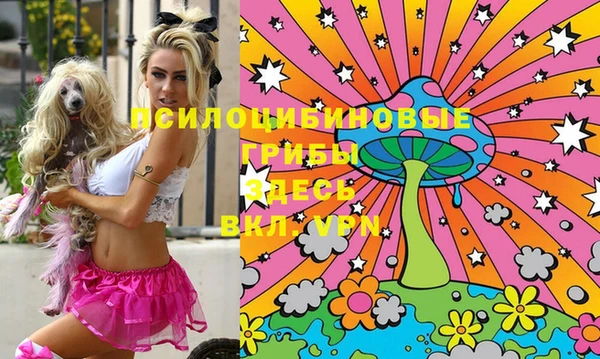 мефедрон мука Новодвинск