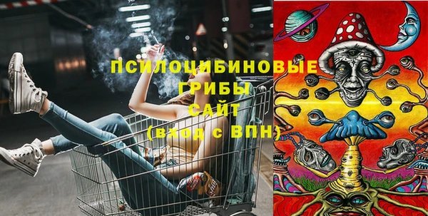 синтетический гашиш Новозыбков
